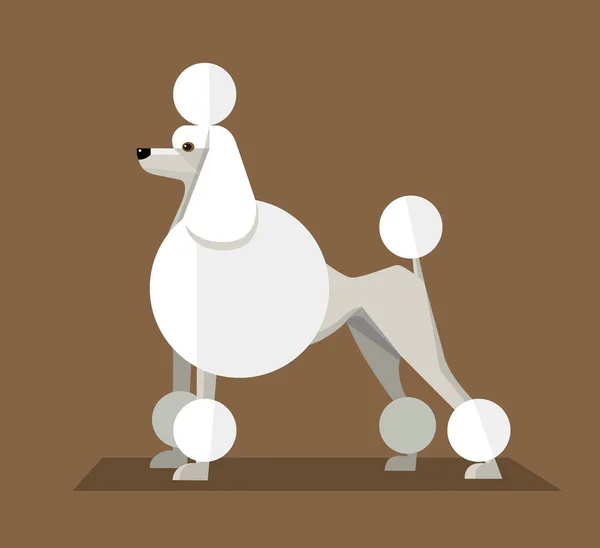 Great White Royal Poodle Image Minimaliste Sur Fond Brun — Image vectorielle