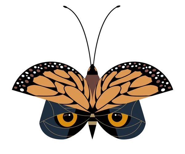 Butterfly or owl? — Stock Vector