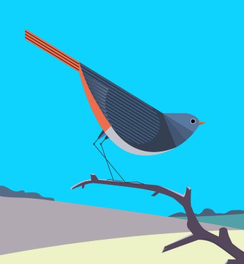 Parlak turuncu kuyruklu Redstart, kayan tepelerin arka planında kuru bir ağaç dalında oturuyor.