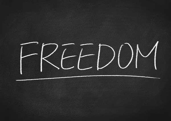 Freedom concept word — Stock Photo, Image
