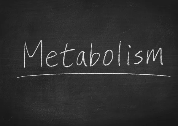 Metabolisme begrip woord — Stockfoto