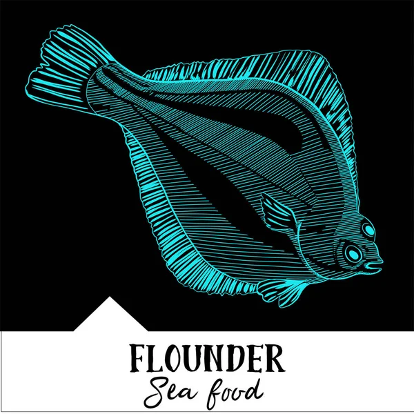 Vektör çizim pisi balığı deniz ürünleri yemek listesi için — Stok Vektör