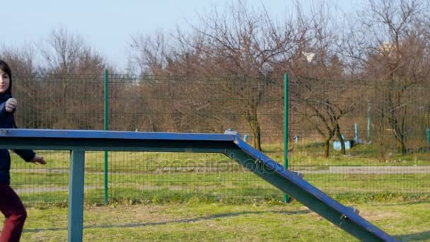 Chien d'entraînement vidéo Dachshund dans la zone d'entraînement . — Video