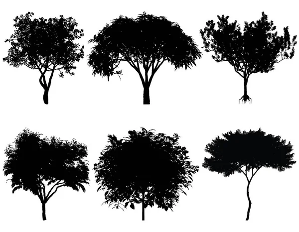 Illustration vectorielle des silhouettes des arbres — Image vectorielle