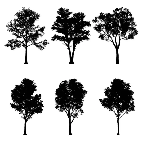 Ilustración vectorial de siluetas de árboles — Vector de stock