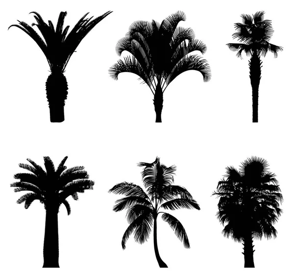 Tree silhouettes vector illustration — Stock Vector