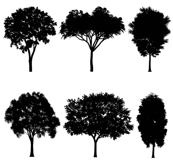 Baum Silhouetten Vektor Illustration — Stockvektor