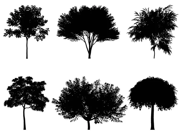 वृक्ष सिल्हूट्सचे वेक्टर स्पष्टीकरण — स्टॉक व्हेक्टर