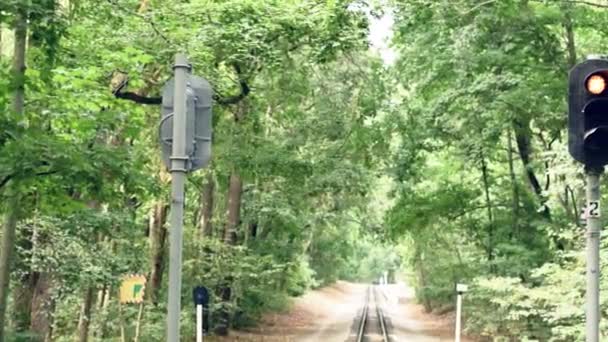 Full-HD-Video-Hintergrund. Kindereisenbahn im Stadtpark — Stockvideo