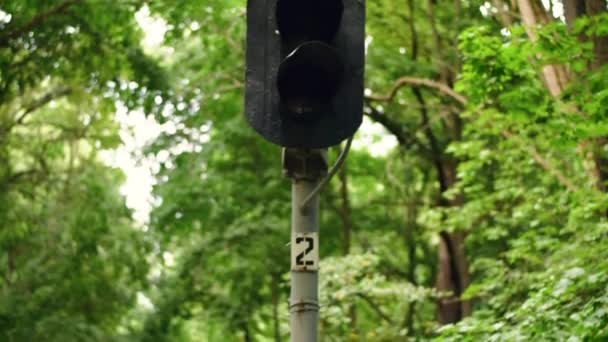 Videomaterial, Ampel, vertikales Panorama. — Stockvideo