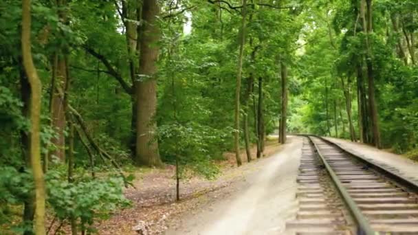 Full-HD-Video-Hintergrund. Kindereisenbahn im Stadtpark — Stockvideo