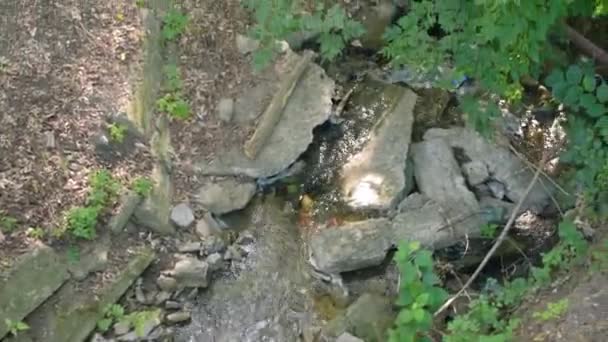 Поток Центральном Городском Парке Горизонтальная Панорама — стоковое видео