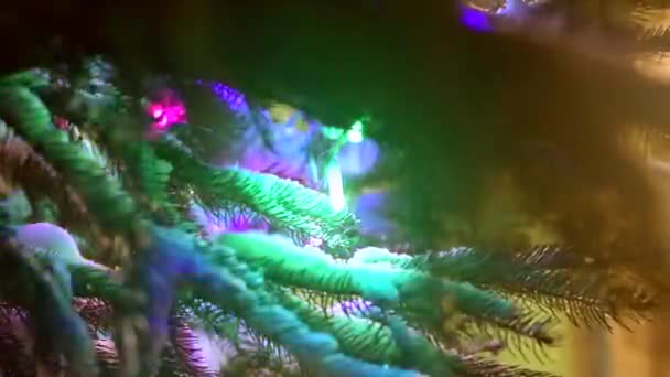 Árvore de Natal em um backlight LED festivo. Luzes de Natal na neve — Vídeo de Stock