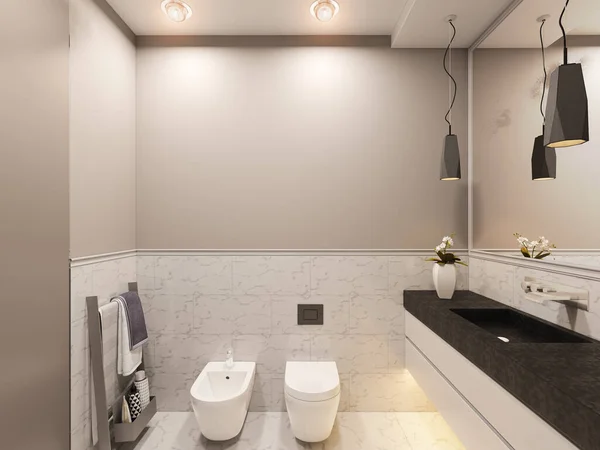 3D render, interior do banheiro em uma casa de campo privada. WC design de interiores ilustração — Fotografia de Stock