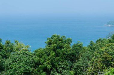 Orman arkasında deniz görünümü arka plan