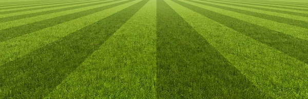 Das Grüne Gras Hintergrund Rendering — Stockfoto