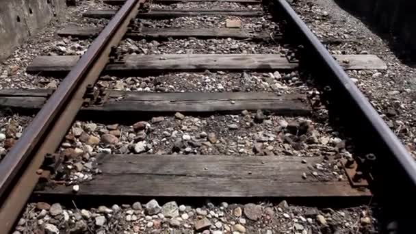 Railroad tracks horizont — Stock Video