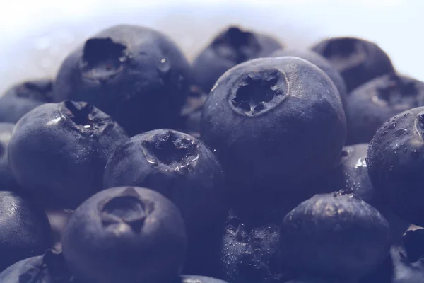 Fresh and sweet blueberries. Macro — Stock Photo, Image