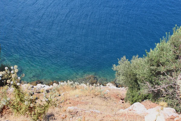 Wild sea shore. Turquoise water. Dry grass. Prickle — Stock Photo, Image