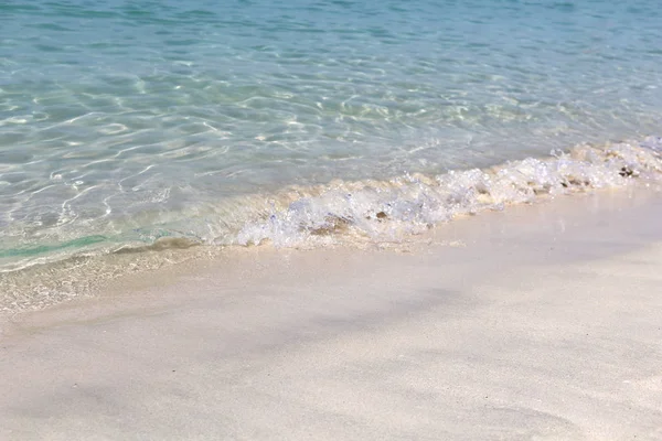 Une Belle Vague Transparente Roule Sur Rivage Plage Sable Mer — Photo