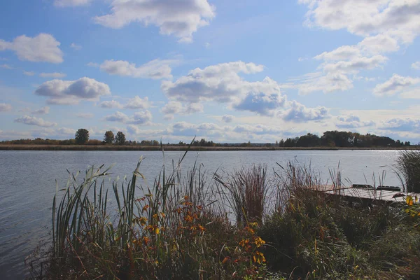 长满芦苇的河流或湖畔风景如画的河岸 阳光灿烂的日子 静谧的水闪烁着反光 在蓝天云中 放松的气氛 — 图库照片