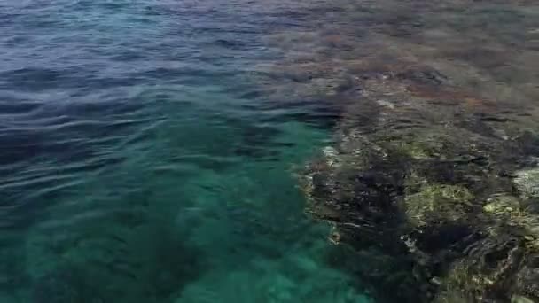 Emerald Water Bij Het Koraalrif Golven Zee Ontspan Meditatie Een — Stockvideo