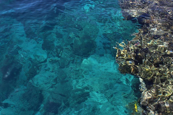 Turquoise Water Multi Colored Corals Red Sea Great Texture Background — Stock Photo, Image