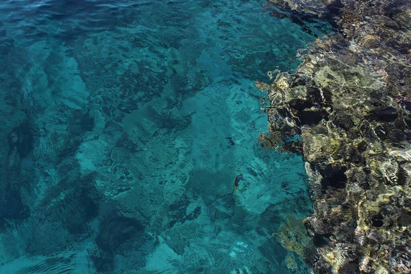 Turquoise Water Multi Colored Corals Red Sea Great Texture Background — Stock Photo, Image