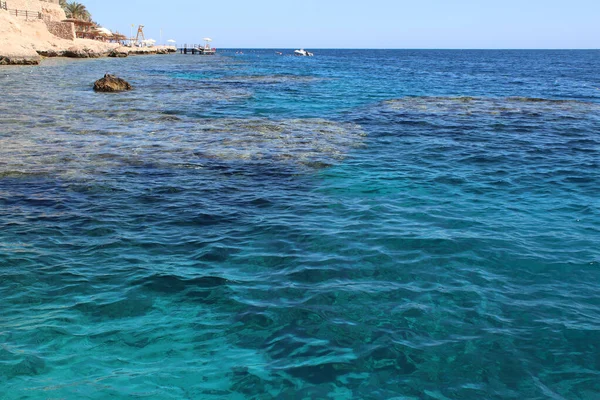 Turquoise Water Multi Colored Corals Red Sea Seashore Horizon Surface — Stock Photo, Image