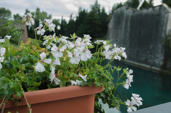 Garda lake, Itália — Fotografia de Stock