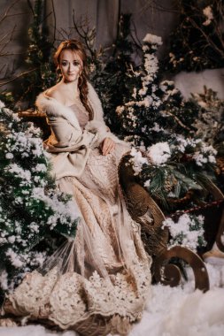 Güzel genç kız Noel 'i bekliyor köknar ağacının yanında