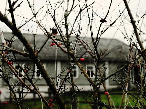 Altes russisches Dorf im tiefen Herbst — Stockfoto