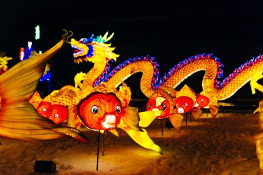 Çin Yeni Yıl Aydınlatma Kurumu 