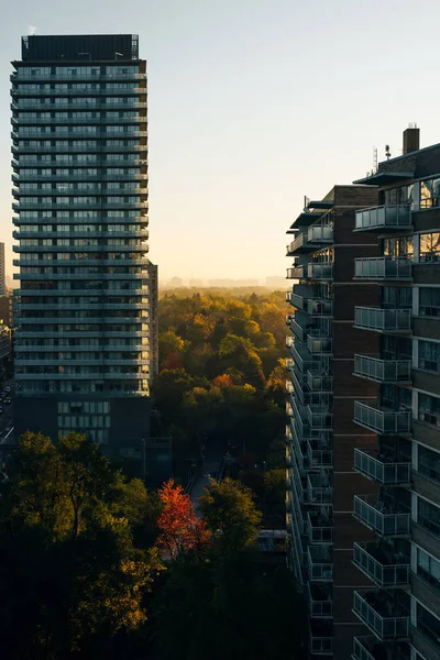 Вид с воздуха на современный город утром, Торонто, Канада — стоковое фото