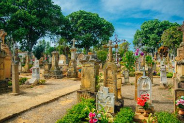 Latin Amerika 'daki Kolombiya 2019 mezarlığı