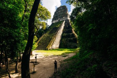 Tikal, Guatemala Piramitleri El Peten Bölümü, Tikal Ulusal Parkı.