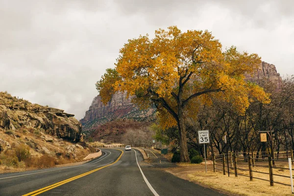 Zion National Park ist ein amerikanischer Nationalpark im Südwesten von Utah in der Nähe der Stadt Springdale — Stockfoto