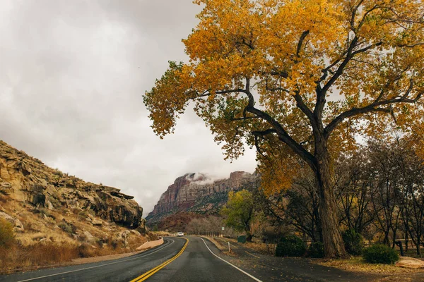 Zion National Park ist ein amerikanischer Nationalpark im Südwesten von Utah in der Nähe der Stadt Springdale — Stockfoto