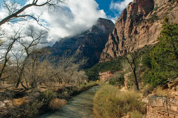 시온 국립 공원 (Zion National Park) 은 유타 주 남서부 스프링 데일 읍 근처에 위치한 미국의 국립 공원이다. — 스톡 사진