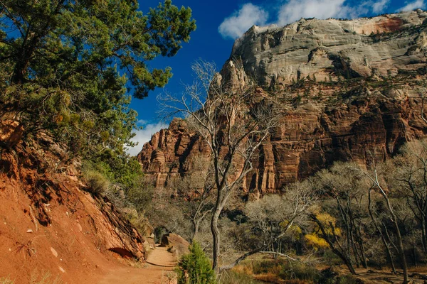 Національний парк Сіон (англ. Zion National Park) - національний парк у південно-західній Юті поблизу міста Спрінгдейл. — стокове фото