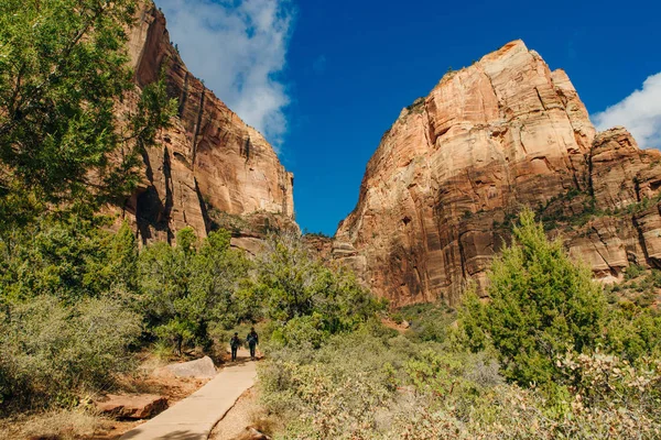 시온 국립 공원 (Zion National Park) 은 유타 주 남서부 스프링 데일 읍 근처에 위치한 미국의 국립 공원이다. — 스톡 사진