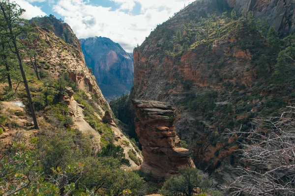 Zion National Park es un parque nacional estadounidense situado en el suroeste de Utah, cerca de la ciudad de Springdale. — Foto de Stock