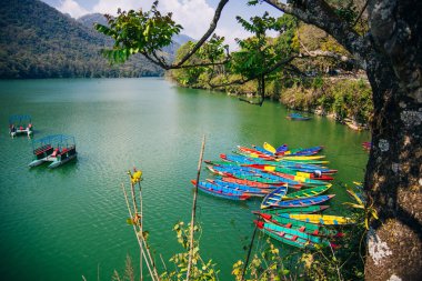 Nepal 'in merkezindeki Pokhara vadisinde çok renkli tekneleri olan Phewa Gölü..