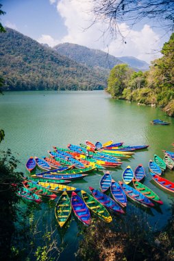 Nepal 'in merkezindeki Pokhara vadisinde çok renkli tekneleri olan Phewa Gölü..