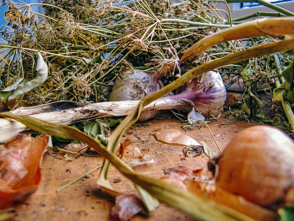 Vegetales, especias y recetas de cocina dibujo sobre fondo de madera — Foto de Stock