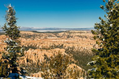 Bryce Canyon Ulusal Parkı 'nın Sunrise, Colorado, Usa' daki geniş açılı görüntüsü