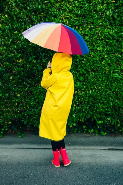 Menina em uma capa de chuva amarela em um fundo de uma parede com grama com um guarda-chuva multi-colorido — Fotografia de Stock