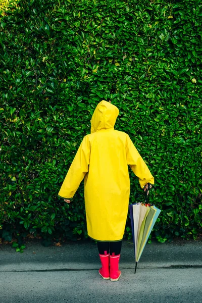 Menina em uma capa de chuva amarela em um fundo de uma parede com grama com um guarda-chuva multi-colorido — Fotografia de Stock