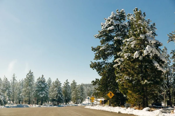 Inverno neve coberto abetos na montanha no fundo azul céu — Fotografia de Stock