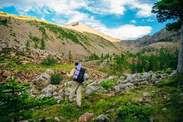 Mulher caminhante em caminhada com uma grande mochila vista traseira — Fotografia de Stock